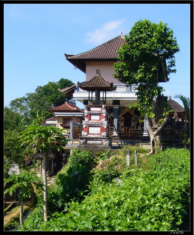 BALI 02 BEDUGUL 09