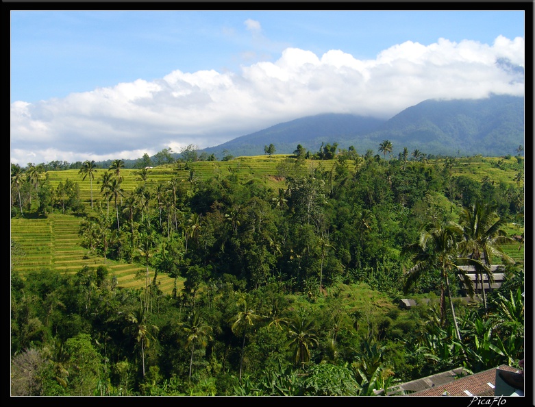 BALI_02_BEDUGUL_18.jpg