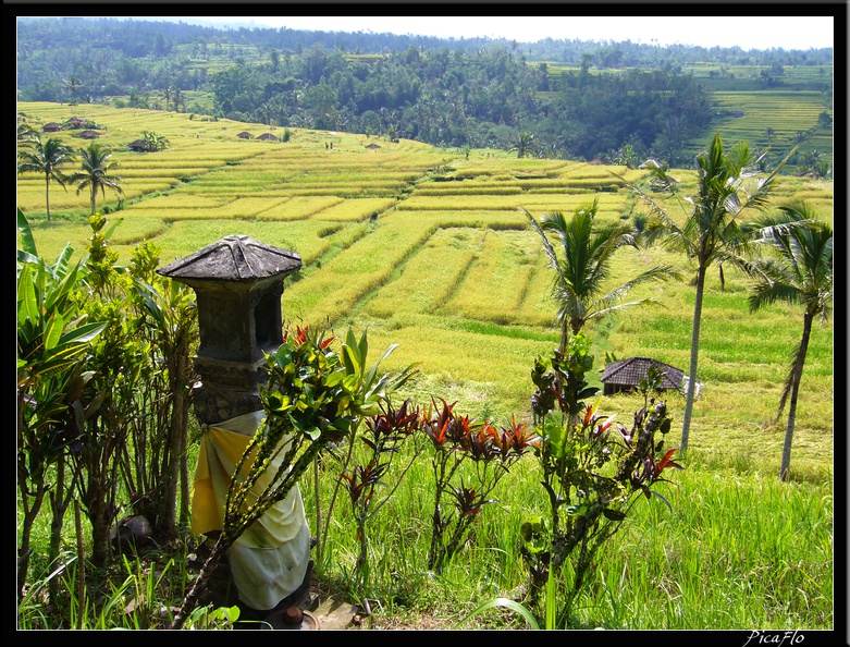 BALI_02_BEDUGUL_30.jpg