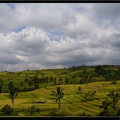 BALI 02 BEDUGUL 33