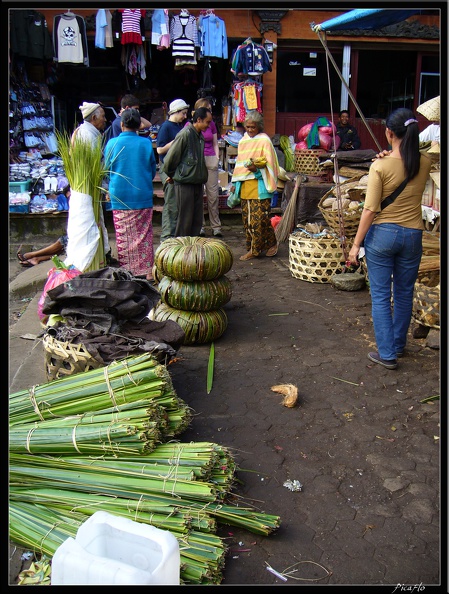 BALI 03 MUNDUK 06