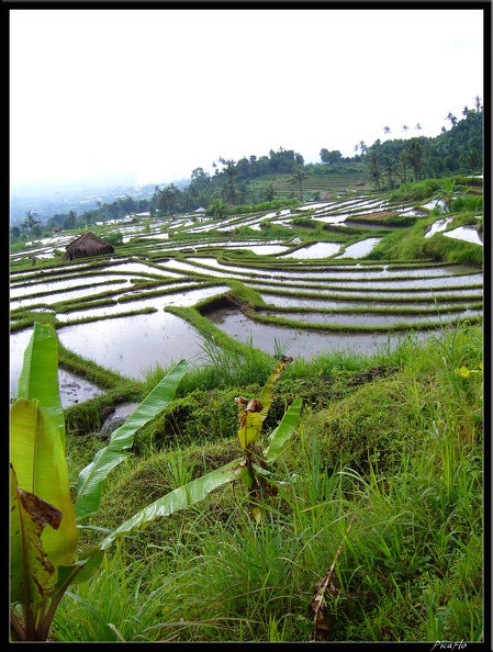 BALI_03_MUNDUK_42.jpg