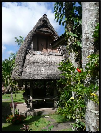 BALI 12 UBUD 23