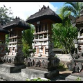 BALI 12 UBUD 30