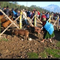 EQUATEUR 05 OTAVALO 06