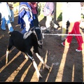 EQUATEUR 05 OTAVALO 07