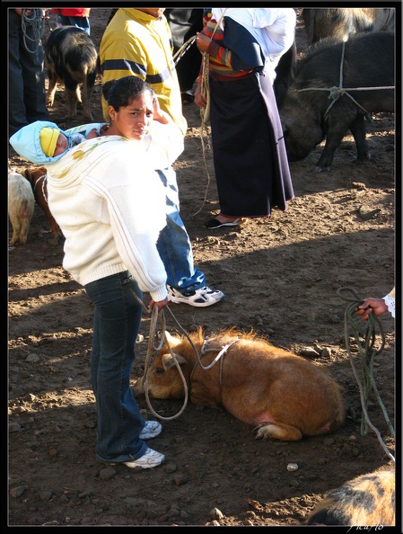 EQUATEUR_05_OTAVALO_09.jpg