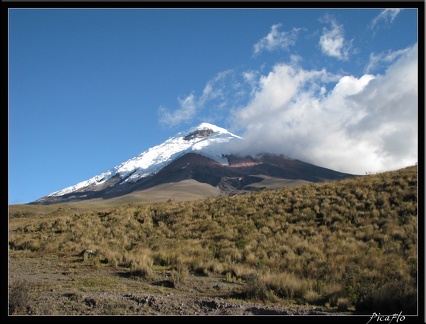 EQUATEUR 07 COTOPAXI 36