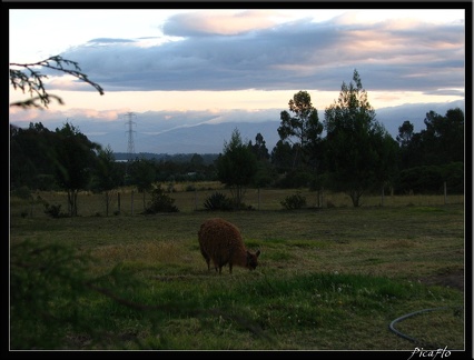 EQUATEUR 07 COTOPAXI 38