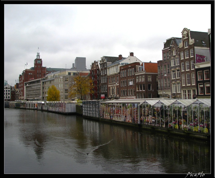 AMSTERDAM_020.jpg