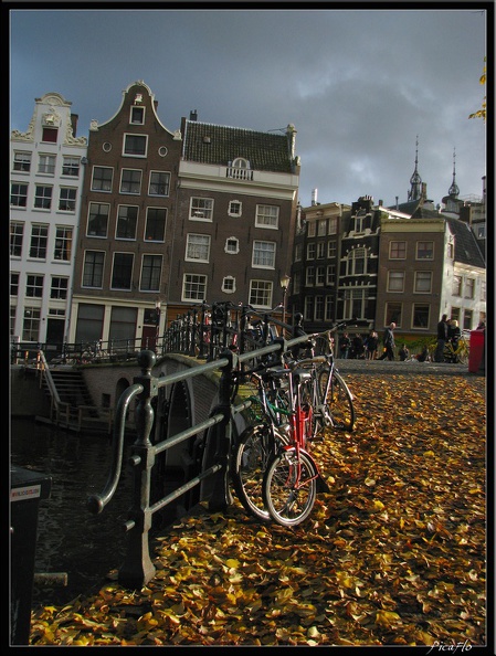 AMSTERDAM_082.jpg