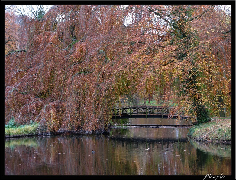 AMSTERDAM_141.jpg