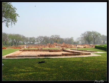 INDE NORD 04 VARANASI SARNATH 024