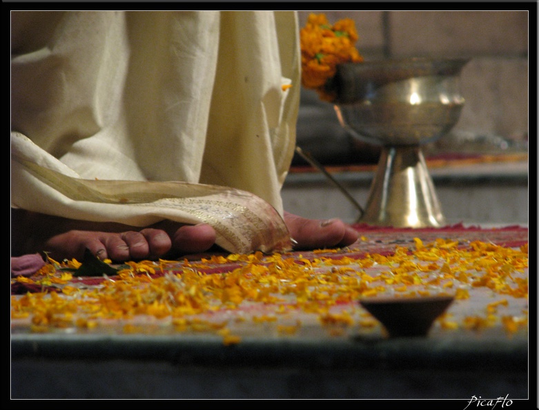 INDE_NORD_04_VARANASI_SARNATH_050.jpg