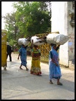 NEPAL 06 LUMBINI 029