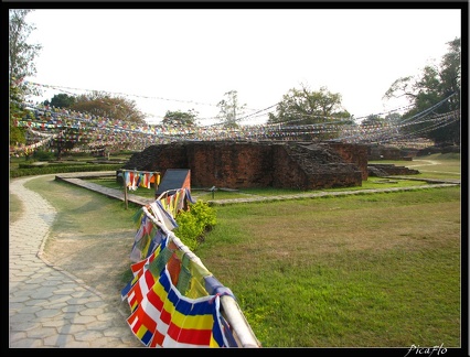 NEPAL 06 LUMBINI 033