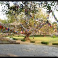 NEPAL 06 LUMBINI 039