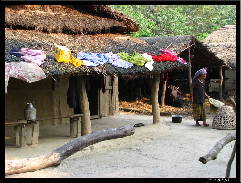 NEPAL_07_CHITWAN_011.jpg