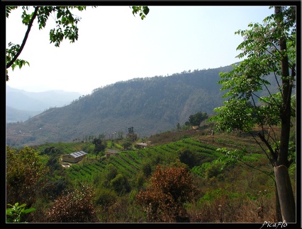 NEPAL 09 BANDIPUR 040