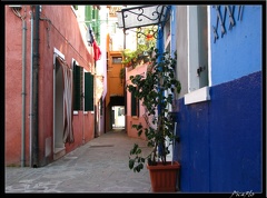 BURANO 015