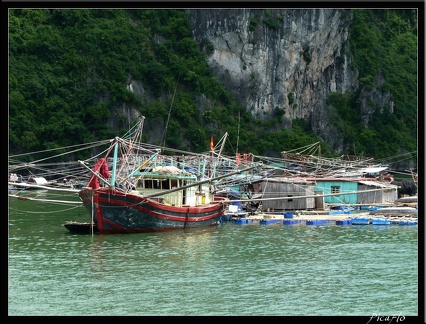 VIETNAM 12 BAIE D HALONG 023