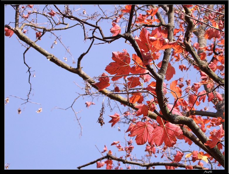 01_Schlossgarten_Rosensteinpark_Wilhelma_023.jpg