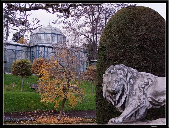 01 Schlossgarten Rosensteinpark Wilhelma 108