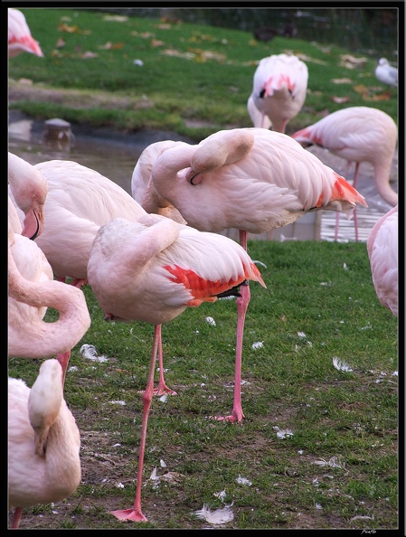 01_Schlossgarten_Rosensteinpark_Wilhelma_118.jpg