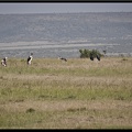 Kenya 01 Masai Mara 004