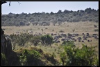 Kenya 01 Masai Mara 009