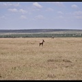 Kenya 01 Masai Mara 079