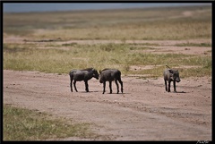 Kenya 01 Masai Mara 085