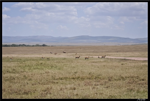 Kenya 01 Masai Mara 092