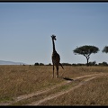 Kenya 01 Masai Mara 192