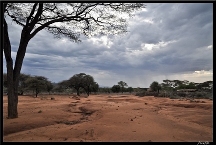 Kenya 01 Masai Mara 336