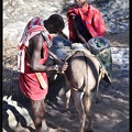 Kenya 01 Masai Mara 390