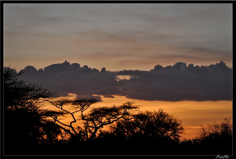 Kenya_01_Masai_Mara_455.jpg