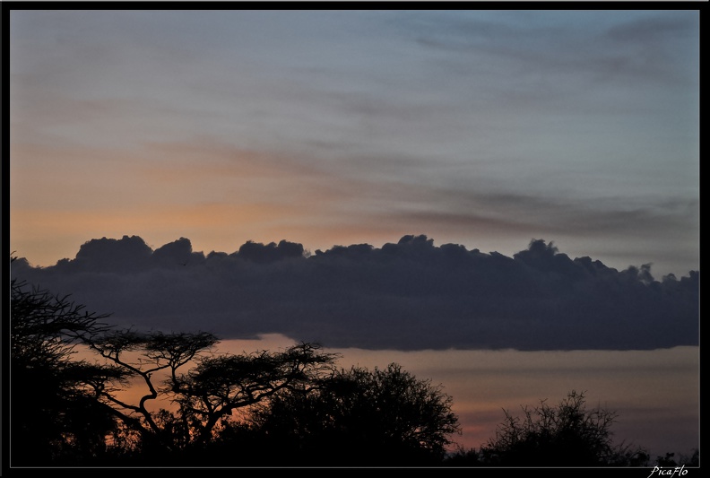 Kenya_01_Masai_Mara_456.jpg