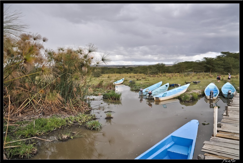 Kenya_02_Lac_Naivasha_004.jpg