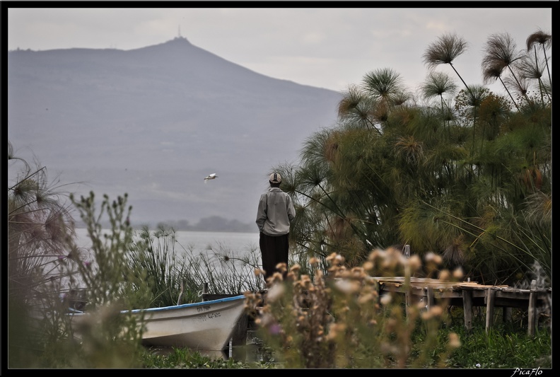 Kenya_02_Lac_Naivasha_022.jpg