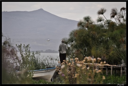 Kenya 02 Lac Naivasha 022