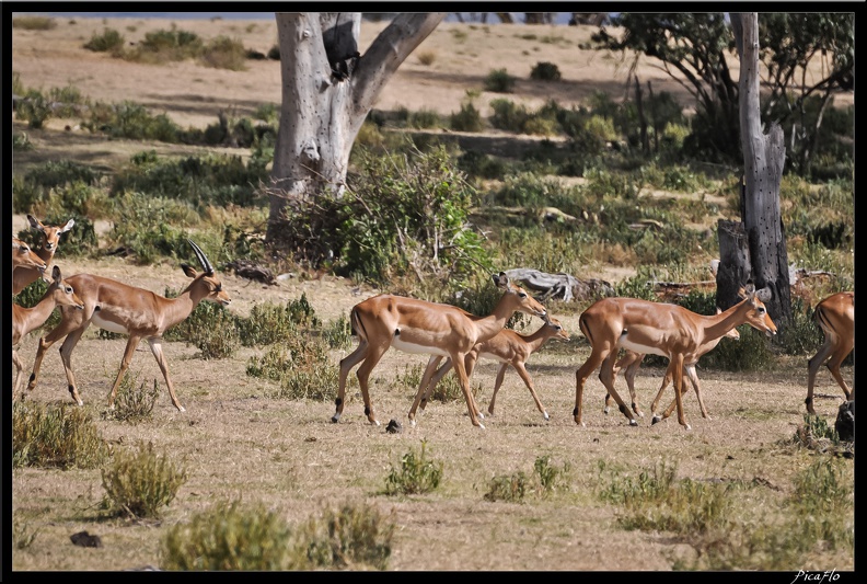 Kenya_03_Crescent_Islands_006.jpg