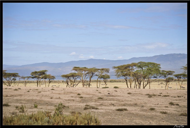 Kenya_03_Crescent_Islands_008.jpg