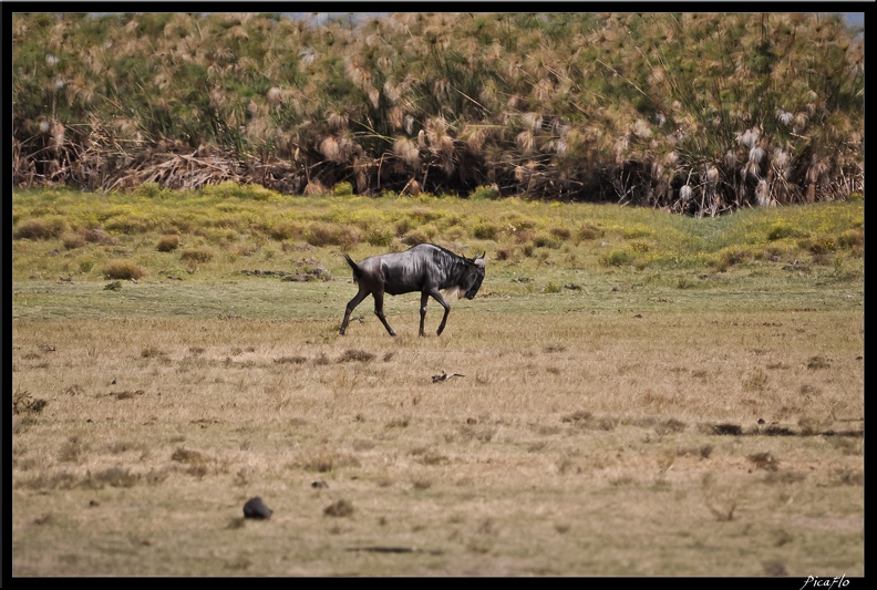 Kenya_03_Crescent_Islands_009.jpg