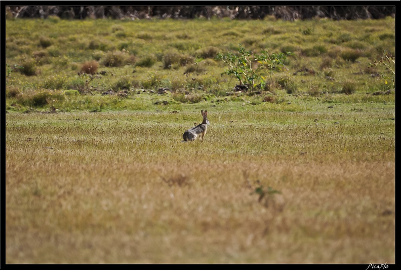 Kenya_03_Crescent_Islands_017.jpg