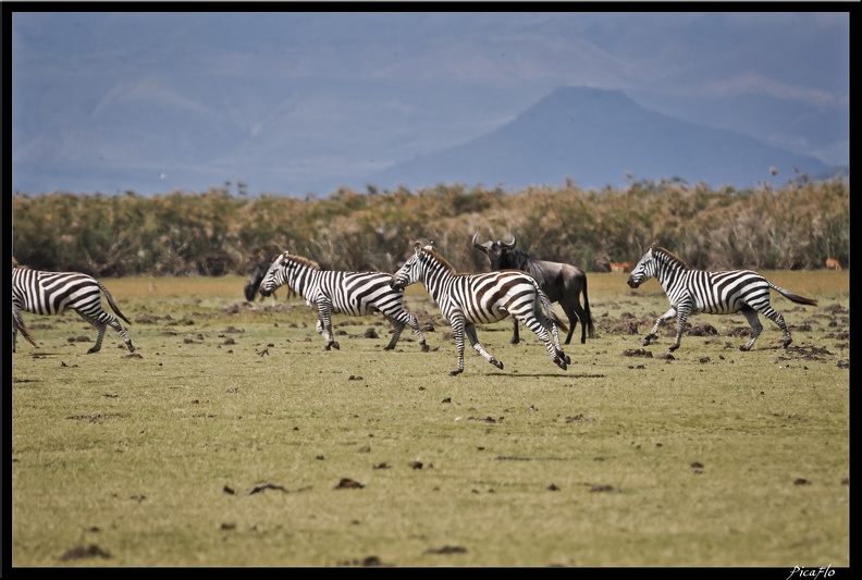 Kenya_03_Crescent_Islands_031.jpg