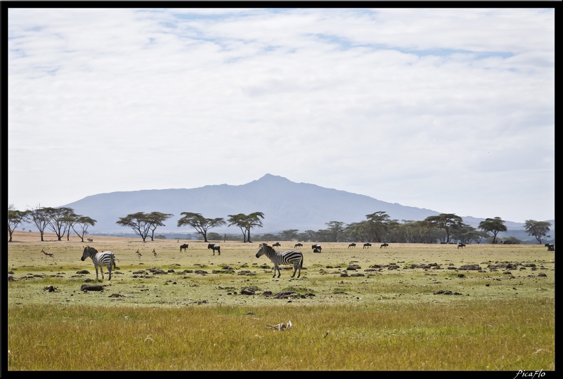 Kenya_03_Crescent_Islands_043.jpg