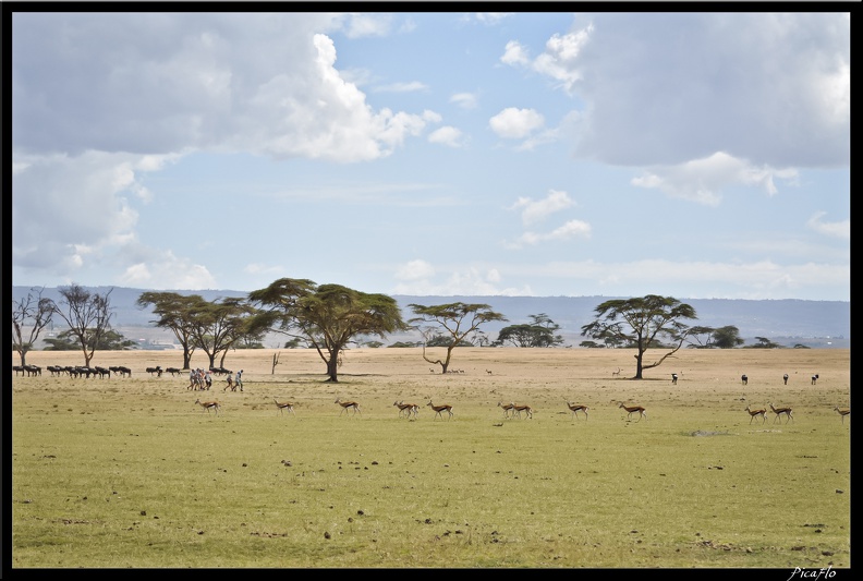 Kenya_03_Crescent_Islands_053.jpg