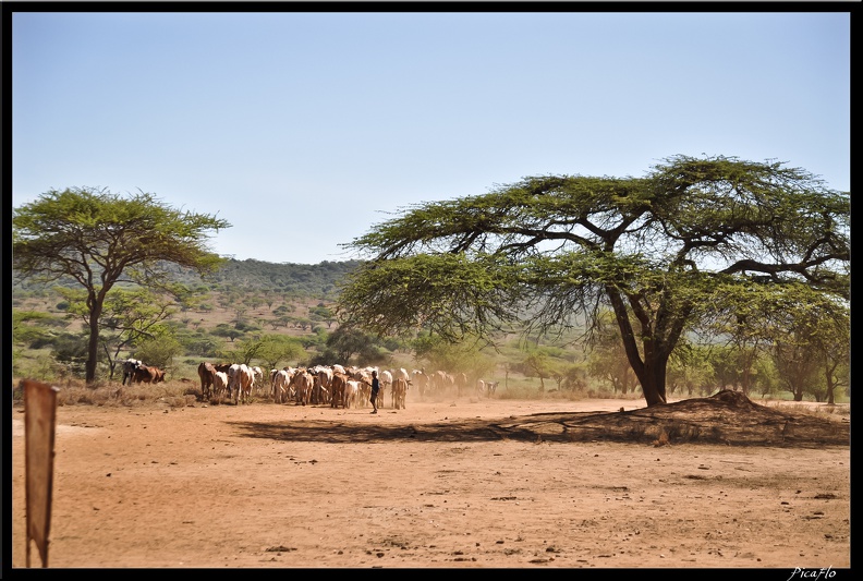 Kenya_04_Amboseli_008.jpg