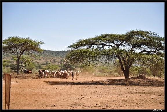 Kenya 04 Amboseli 008